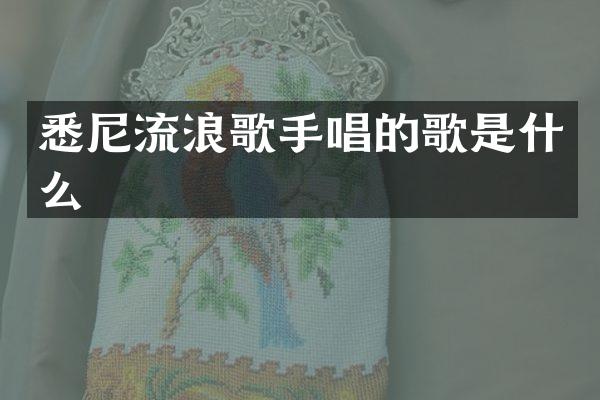 悉尼流浪歌手唱的歌是什么