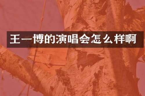 王一博的演唱会怎么样啊