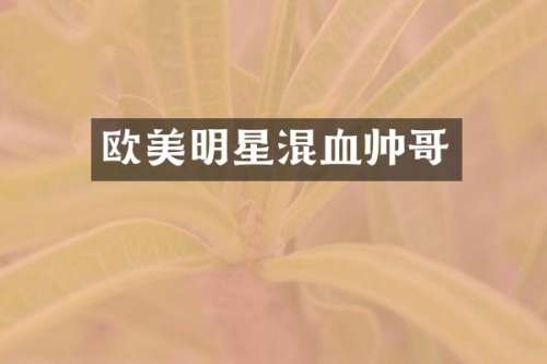欧美明星混血帅哥
