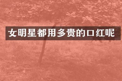 女明星都用多贵的口红呢