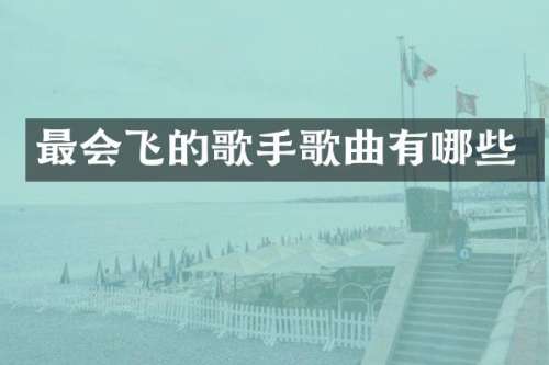 最会飞的歌手歌曲有哪些