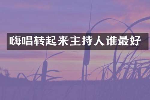 嗨唱转起来主持人谁最好