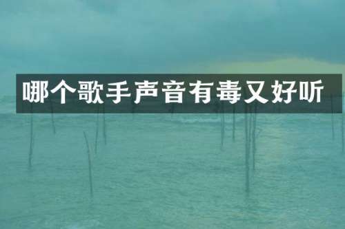 哪个歌手声音有毒又好听