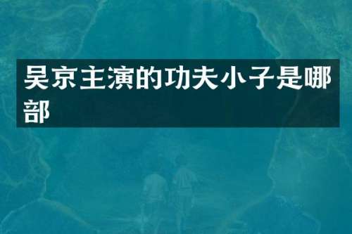 吴京主演的功夫小子是哪部