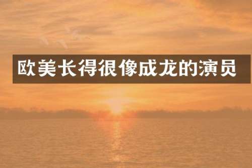 欧美长得很像成龙的演员
