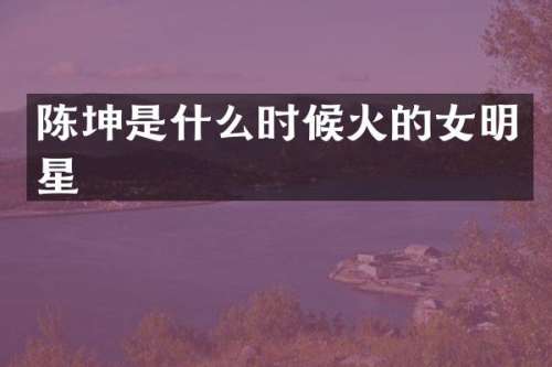 陈坤是什么时候火的女明星