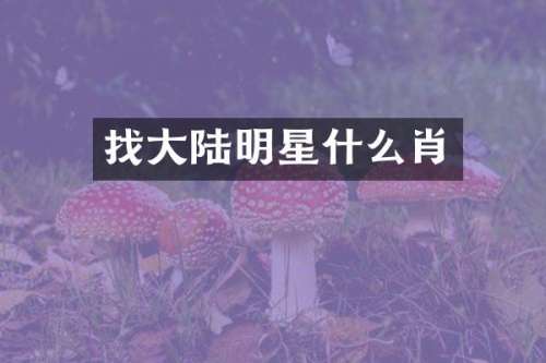 找大陆明星什么肖