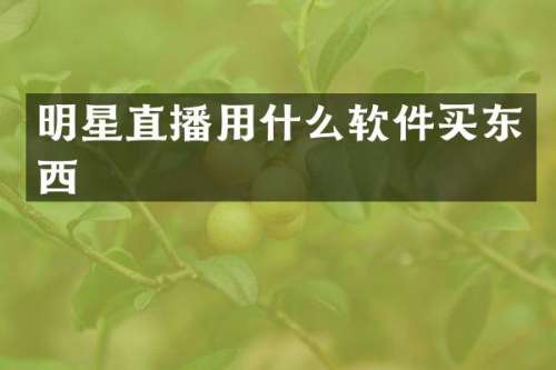 明星直播用什么软件买东西