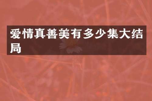 爱情真善美有多少集大结局