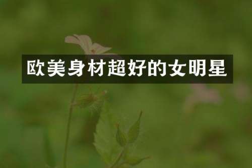欧美身材超好的女明星