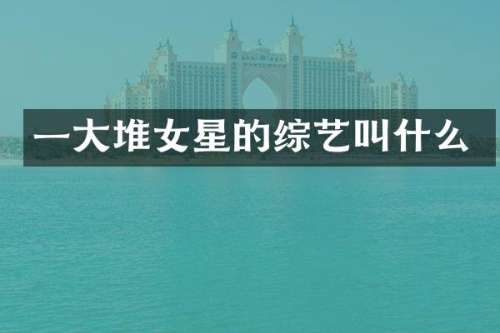 一大堆女星的综艺叫什么