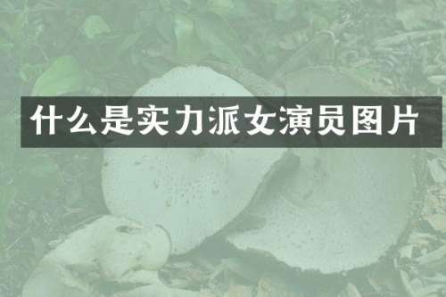 什么是实力派女演员图片