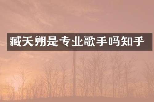 臧天朔是专业歌手吗知乎