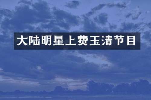 大陆明星上费玉清节目