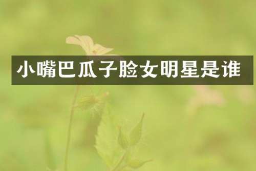 小嘴巴瓜子脸女明星是谁