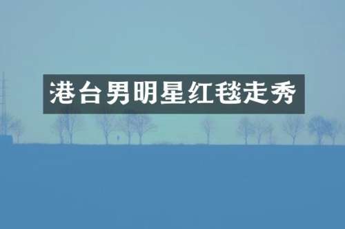 港台男明星红毯走秀