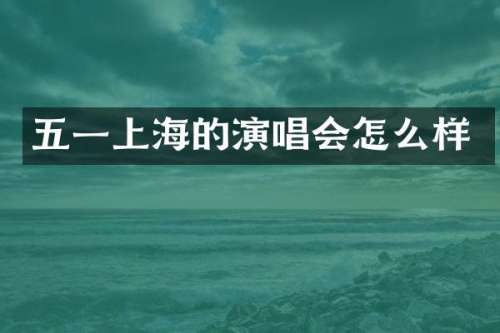 五一上海的演唱会怎么样