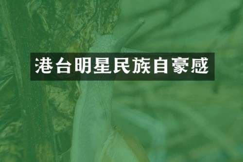 港台明星自豪感