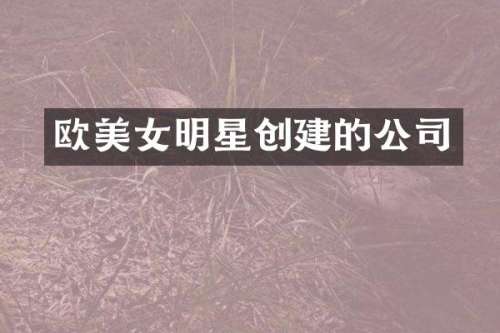 欧明星创建的公司