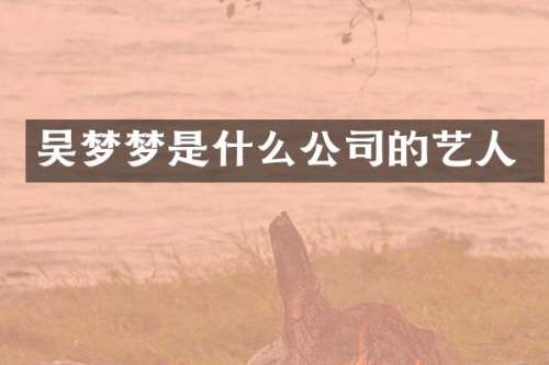 吴梦梦是什么公司的艺人