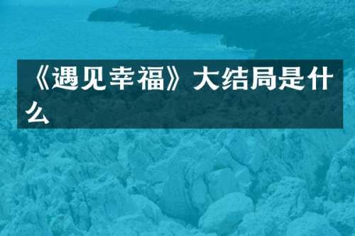 《遇见幸福》大结局是什么
