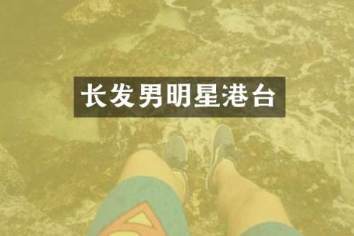长发男明星港台