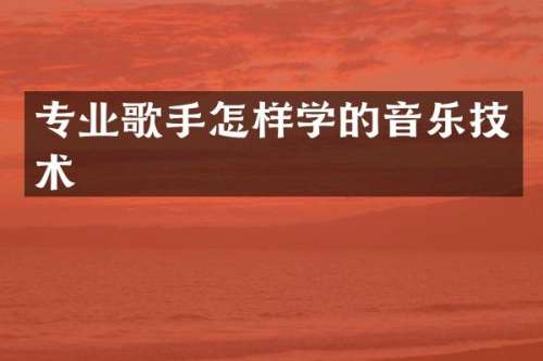 专业歌手怎样学的音乐技术