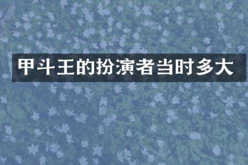 甲斗王的扮演者当时多大
