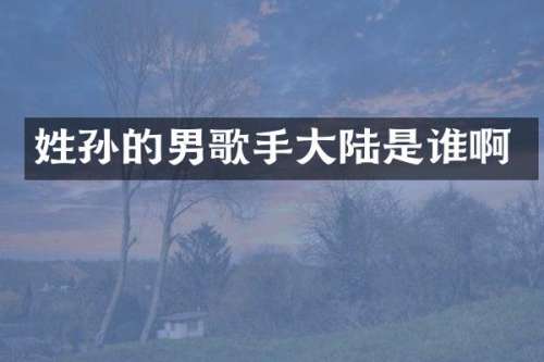 姓孙的男歌手大陆是谁啊