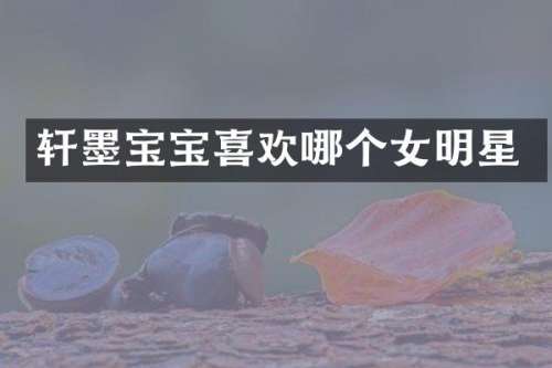 轩墨宝宝喜欢哪个女明星