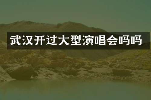 武汉开过大型演唱会吗吗