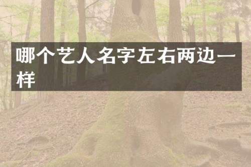哪个艺人名字左右两边一样