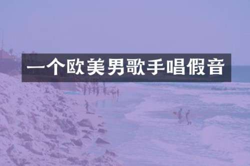 一个欧美男歌手唱假音