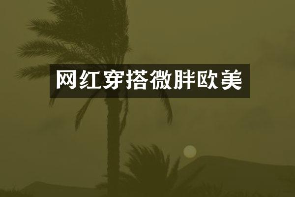网红穿搭微胖欧美