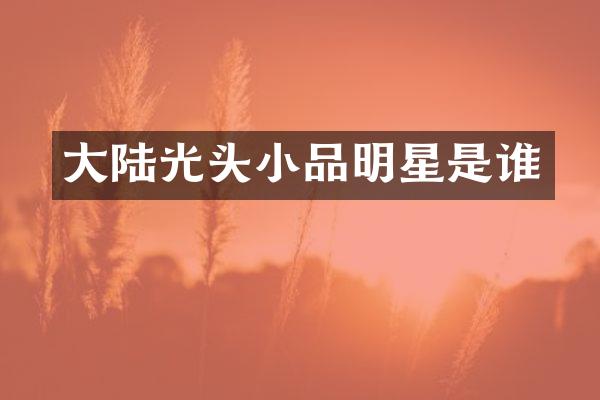 大陆光头小品明星是谁