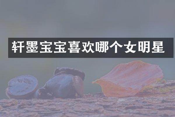 轩墨宝宝喜欢哪个女明星