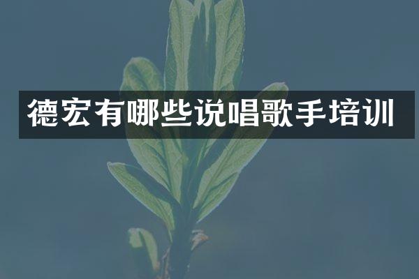 德宏有哪些说唱歌手培训