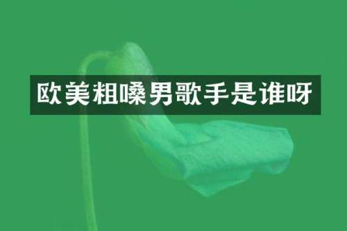 欧美粗嗓男歌手是谁呀