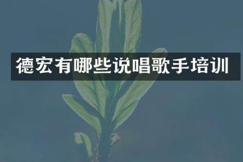 德宏有哪些说唱歌手培训