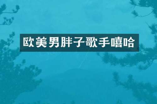 欧美男胖子歌手嘻哈