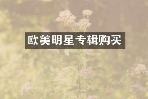 欧美明星专辑购买