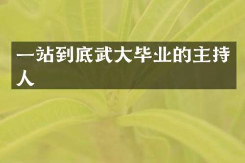 一站到底武大毕业的主持人