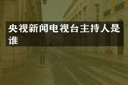 央视新闻电视台主持人是谁