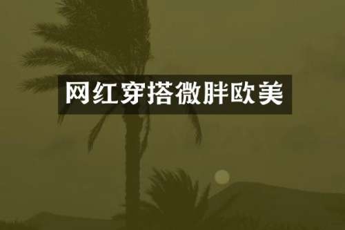 网红穿搭微胖欧美