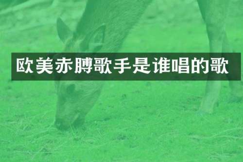 欧美赤膊歌手是谁唱的歌