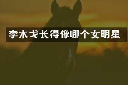 李木戈长得像哪个女明星