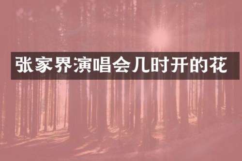 张家界演唱会几时开的花
