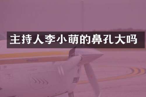 主持人李小萌的鼻孔大吗