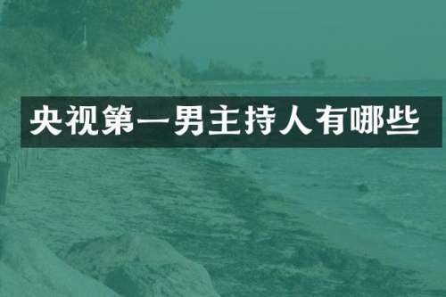 央视第一男主持人有哪些