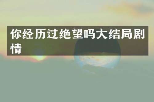 你经历过绝望吗大结局剧情